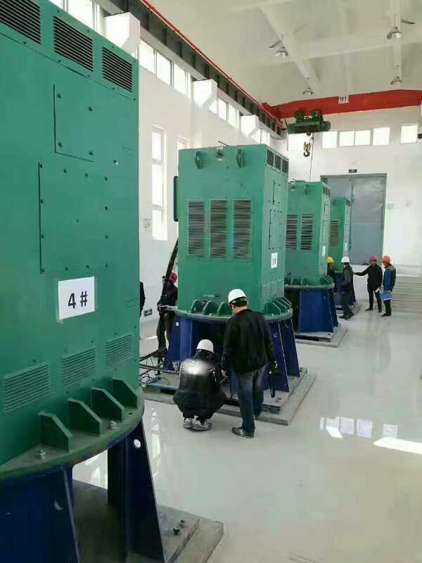 京山某污水处理厂使用我厂的立式高压电机安装现场